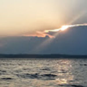 Meet your Posher, Tracie